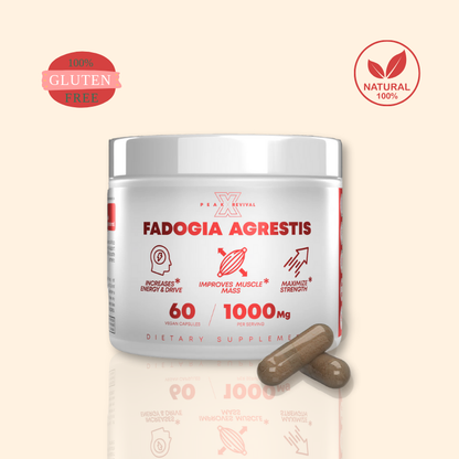 Fadogia Agrestis Supplement