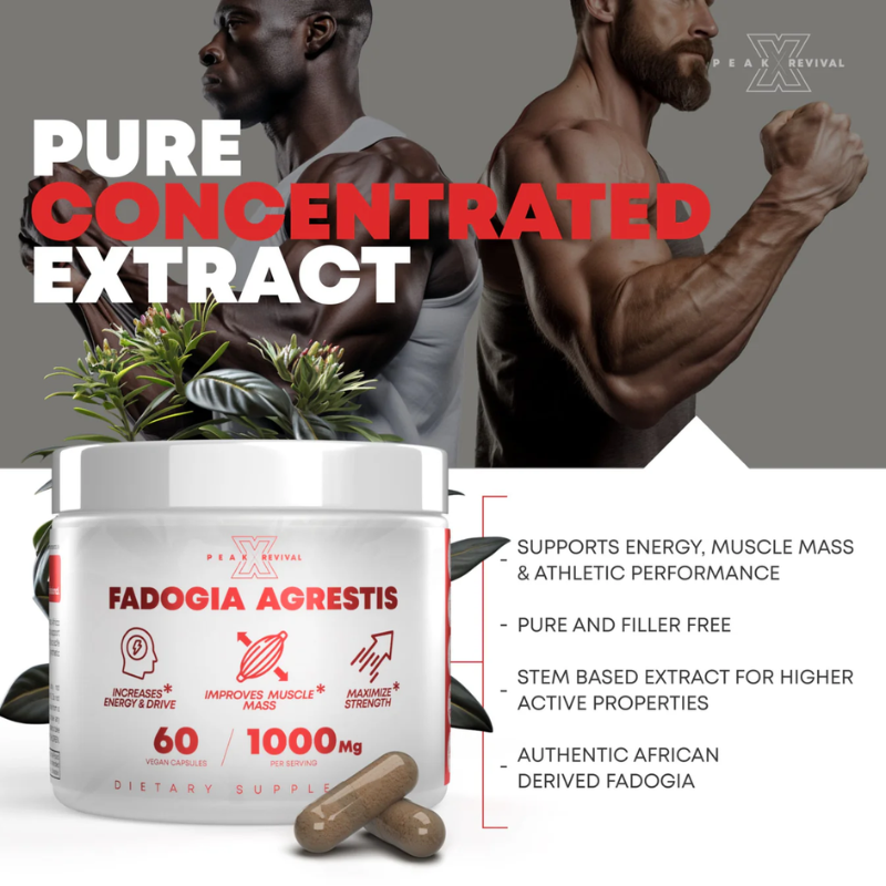 Fadogia Agrestis Supplement