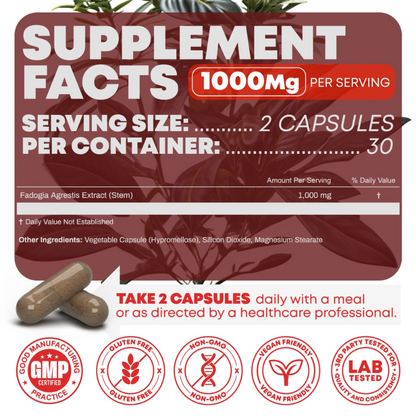 Fadogia Agrestis Supplement